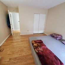50 Broadlawn Park in Boston College, MA - Building Photo - Building Photo