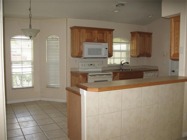 2817 Jebidiah Ct in St. Cloud, FL - Building Photo - Building Photo