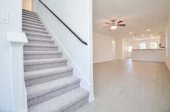 7919 Royal Palm Dr in Fulshear, TX - Building Photo - Building Photo