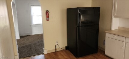 3943-3947-3947 Riley Ave in Struthers, OH - Building Photo - Building Photo