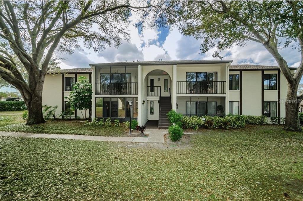 2568 Pine Ridge Way S in Palm Harbor, FL - Building Photo