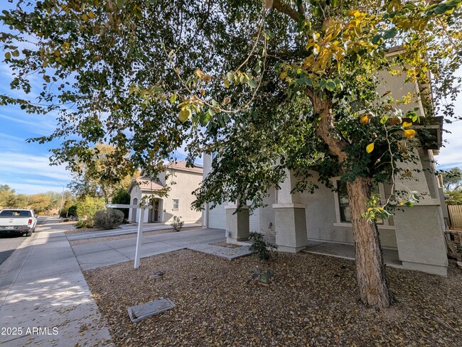 property at 6455 W Orchid Ln