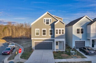 9038 Henry Thoreau Rd in Charlotte, NC - Building Photo