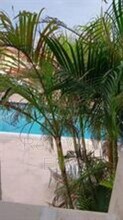 4169 SW 67th Ave in Davie, FL - Building Photo - Building Photo