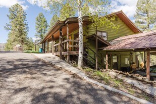 77 Navajo Ln in Pagosa Springs, CO - Building Photo