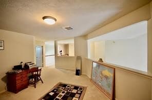 17715 Emerald Garden Ln