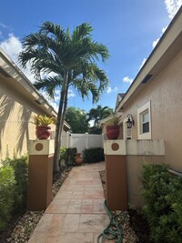 244 N Ketch Dr in Sunrise, FL - Building Photo - Building Photo