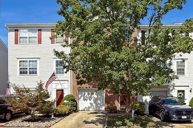 239 Golden Larch Ter NE in Leesburg, VA - Foto de edificio - Building Photo