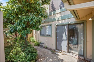 901 Silver Quail Ln in Austin, TX - Building Photo - Building Photo