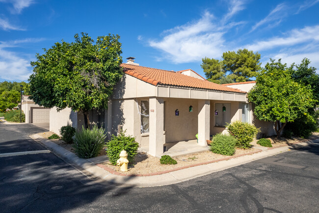 Colony of Scottsdale in Scottsdale, AZ - Building Photo - Building Photo