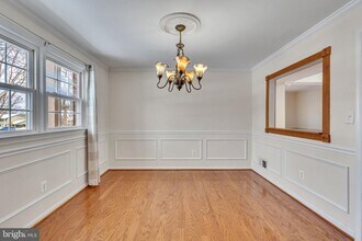 6715 Grey Fox Dr in Springfield, VA - Building Photo - Building Photo