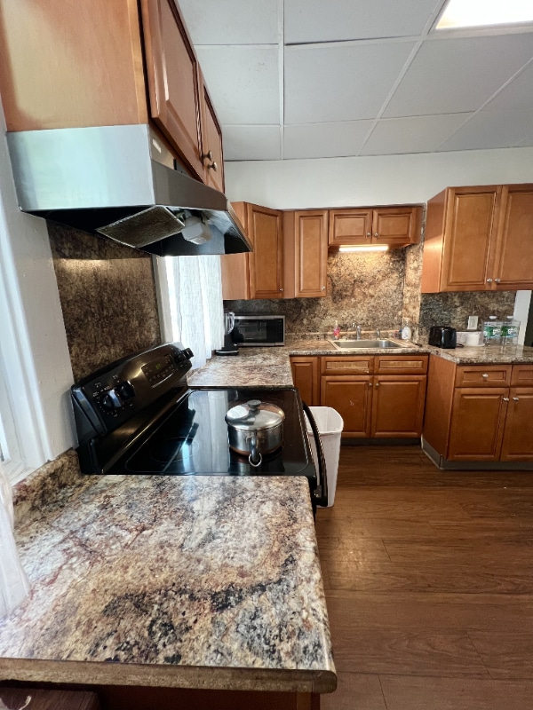 353 New Scotland Ave in Albany, NY - Building Photo - Building Photo