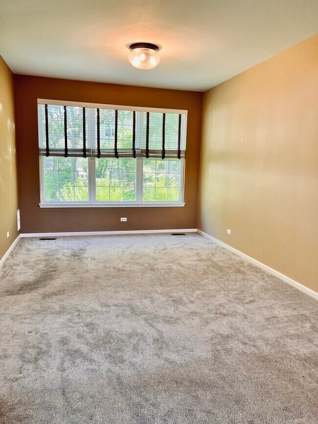 625 Shakespeare Dr in Grayslake, IL - Building Photo - Building Photo