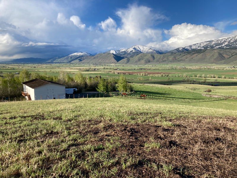 2167 Bitter Creek Rd in Fairview, WY - Building Photo