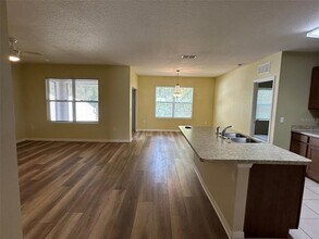 521 White Coral Ln in New Smyrna Beach, FL - Building Photo - Building Photo