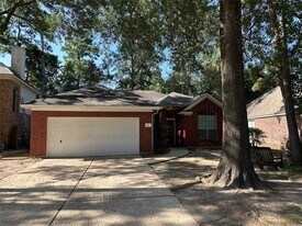 164 S Holly Laurel Cir in Spring, TX - Building Photo