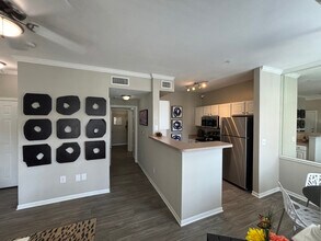 1011 Wonder World Dr in San Marcos, TX - Building Photo - Building Photo