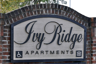 Ivy Ridge Apartments in Charleston, SC - Building Photo - Building Photo