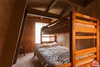 40249 Esterly Ln in Big Bear Lake, CA - Building Photo - Building Photo