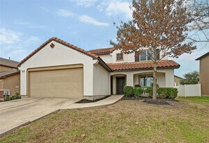 11121 Mickelson Dr in Austin, TX - Building Photo