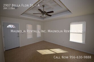 2907 Bella Flor St in Edinburg, TX - Building Photo - Building Photo