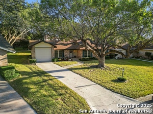 property at 3620 Chestnut Ct