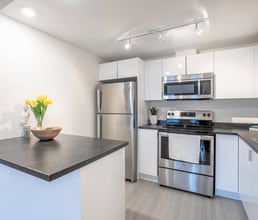 Sydney Arms in Saint John, NB - Building Photo - Building Photo