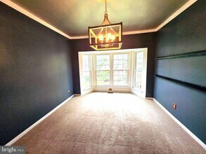 2802 Noble Fir Ct in Woodbridge, VA - Building Photo - Building Photo