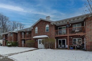 1200 Tollis Pkwy in Broadview Heights, OH - Building Photo