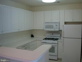 7000 Falls Reach Dr in Falls Church, VA - Building Photo