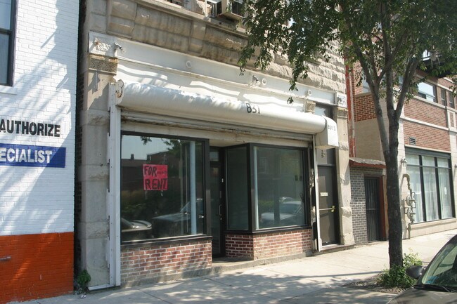 831 S Western Ave in Chicago, IL - Foto de edificio - Building Photo