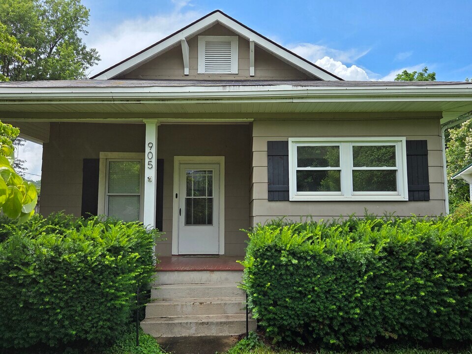 905 E Holston Ave in Johnson City, TN - Building Photo