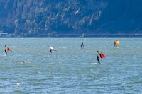 Apartments in Hood River, OR