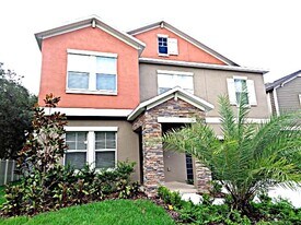 14206 Blue Dasher Dr in Riverview, FL - Building Photo