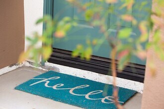 593 Sweet Pea Pl in Encinitas, CA - Building Photo - Building Photo