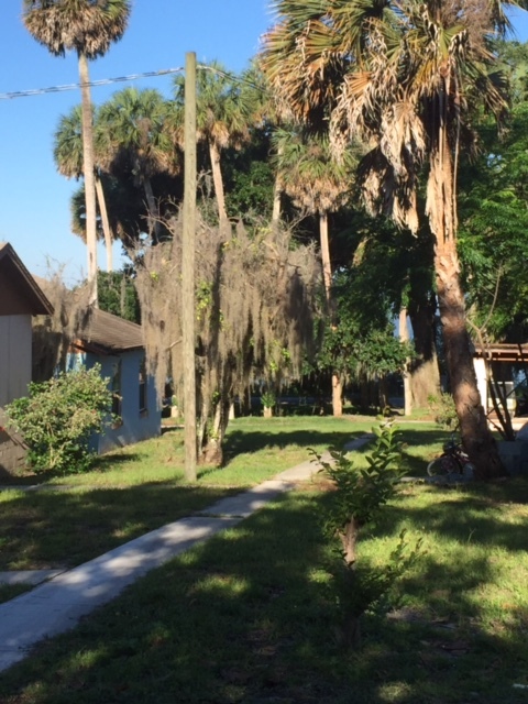 Lake Apopka Villas in Apopka, FL - Building Photo