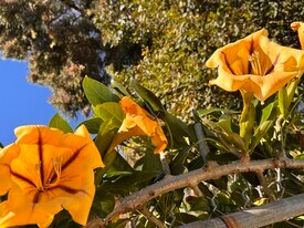 5183 Topanga Canyon Blvd in Los Angeles, CA - Building Photo