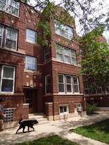 1468 W Winnemac Ave, Unit 1E in Chicago, IL - Building Photo