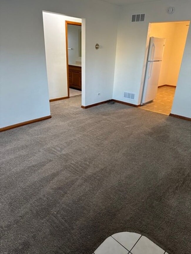 207-209-209 N Lord Ave in Carpentersville, IL - Building Photo - Building Photo