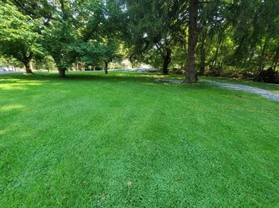 7 Irish Mountain Rd in Temple, PA - Building Photo - Building Photo