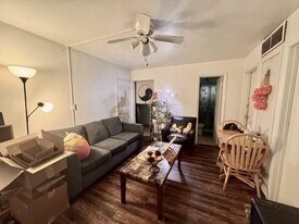 102 N Lincoln Ave, Unit 3 in Urbana, IL - Building Photo