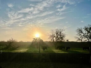 11305 Sentinel Dr in Austin, TX - Building Photo - Building Photo