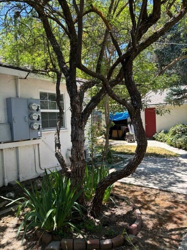 821 Vine St in Paso Robles, CA - Building Photo - Building Photo