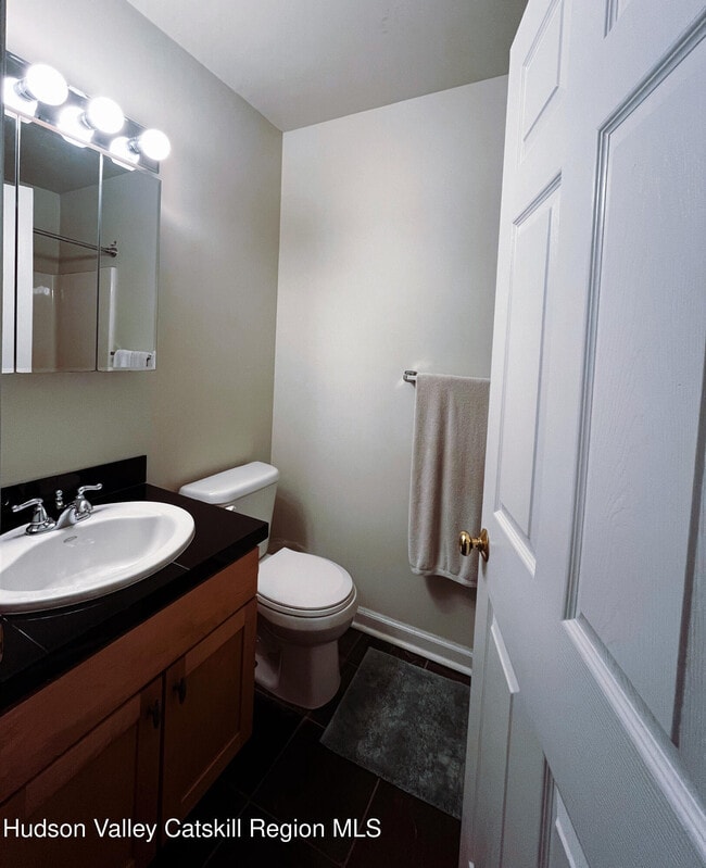 42 Prospect St in Tannersville, NY - Building Photo - Building Photo