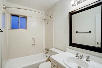 2418 Mimosa Dr in Houston, TX - Building Photo - Building Photo