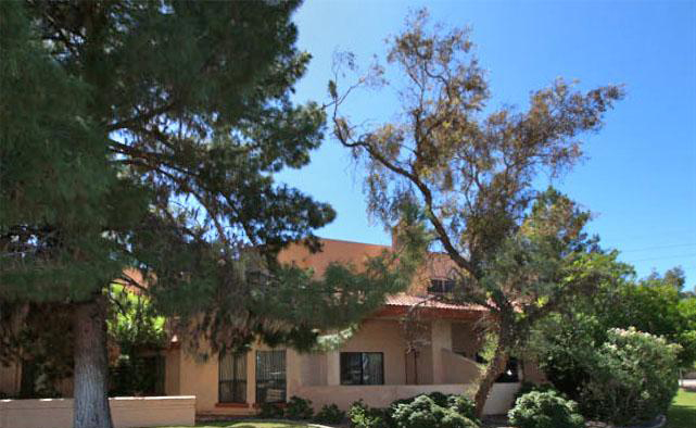 Copper Point in Mesa, AZ - Foto de edificio - Building Photo