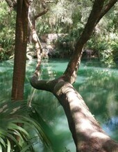 120 Hibiscus Woods Ct in Deltona, FL - Building Photo - Building Photo