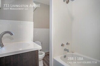 733 Livingston Ave NE in Grand Rapids, MI - Building Photo - Building Photo