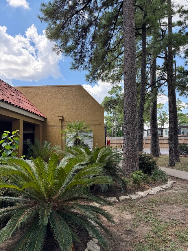 Springhill in Houston, TX - Building Photo - Building Photo