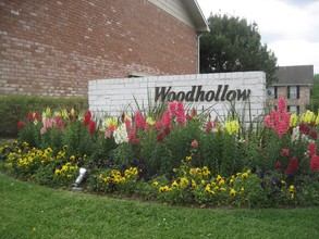 Woodhollow Apartments in Huntsville, TX - Building Photo - Building Photo